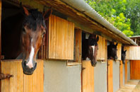 free Loxford stable construction quotes